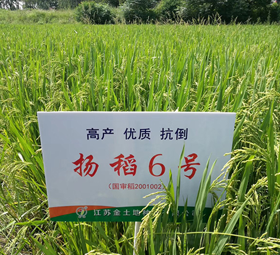 �P(y��ng)��6̖-ˮ���N��-������