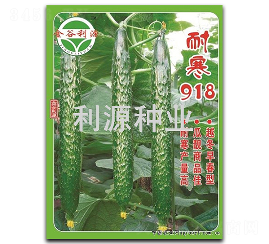 耐寒918-黃瓜種子-利源種業(yè)