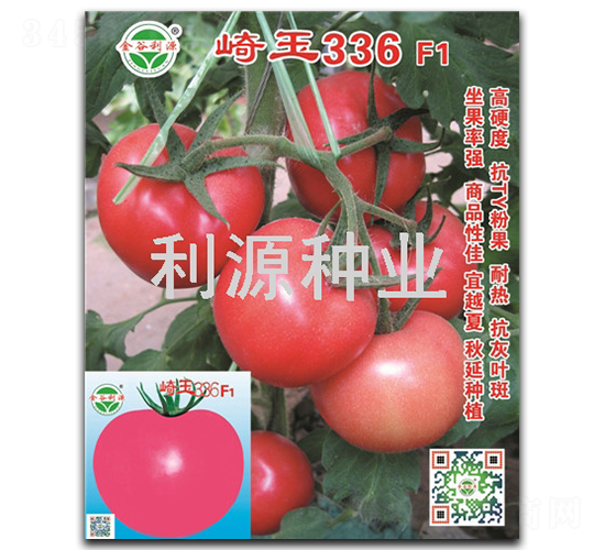 崎玉336-番茄種子-利源種業(yè)