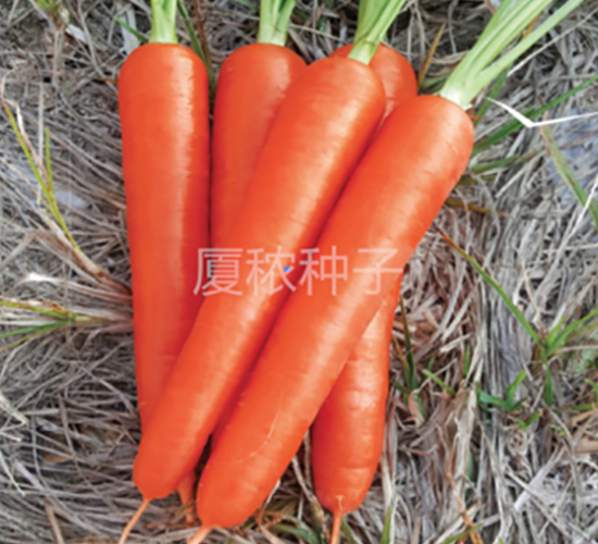 ���167-���}���N��-�B���r�I(y��)