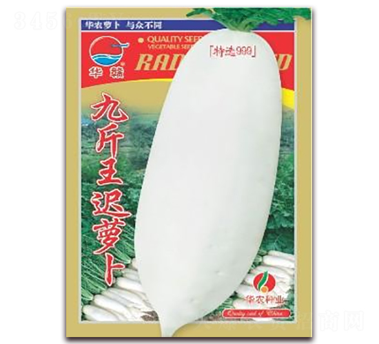九斤王晚蘿卜-白蘿卜種子-華農(nóng)種業(yè)