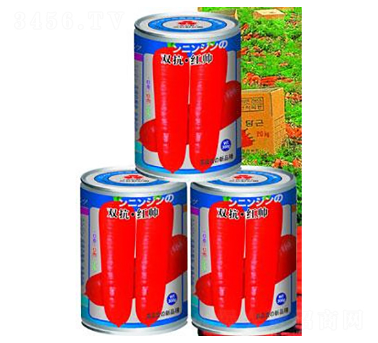 雙抗·紅帥-胡蘿卜種子-華農(nóng)種業(yè)
