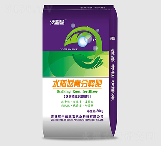 水稻返青分蘗肥-沃碧盈-中盈惠農(nóng)