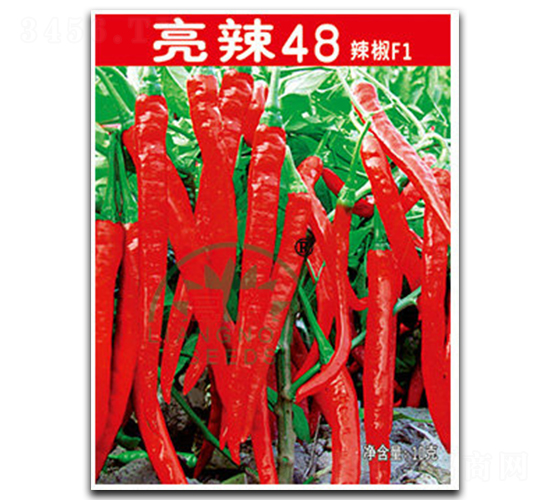 ����48-�����N��-���r(n��ng)