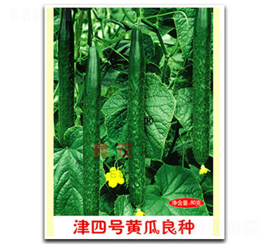 ����̖�S�����N-�S�ϷN��-���r(n��ng)