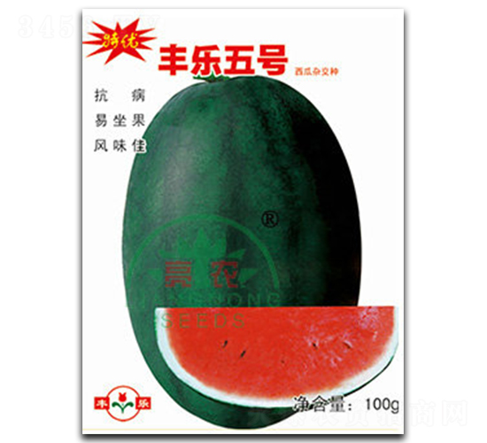 �S��5̖-���ϷN��-���r(n��ng)