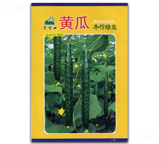 冬行綠直-黃瓜種子-綠百旺