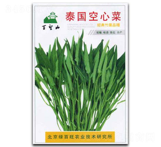 泰國(guó)空心菜-空心菜種子-綠百旺