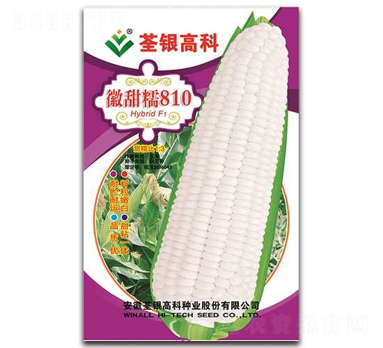 徽甜糯810-甜糯玉米種子-荃銀瓜菜