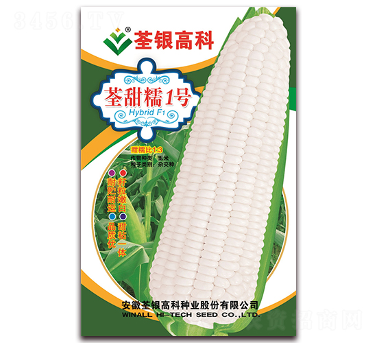 荃甜糯1號-甜糯玉米種子-荃銀瓜菜