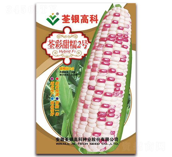 荃彩甜糯2號-甜糯玉米種子-荃銀瓜菜