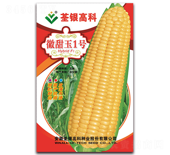 徽甜玉1號-甜玉米種子-荃銀瓜菜