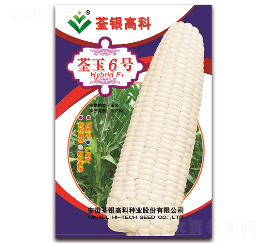 荃玉6號-糯玉米種子-荃銀瓜菜