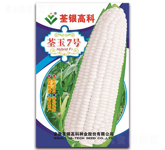 荃玉7號-糯玉米種子-荃銀瓜菜
