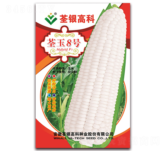 ����8̖(h��o)-Ŵ���׷N��-���y�ϲ�