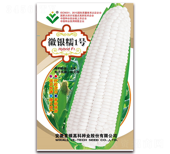 徽銀糯1號-糯玉米種子-荃銀瓜菜