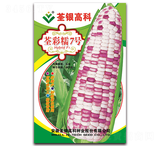 荃彩糯7號-糯玉米種子-荃銀瓜菜