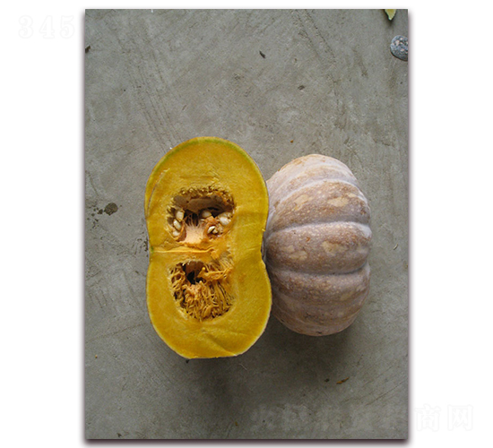 荃銀吉祥-南瓜種子-荃銀瓜菜