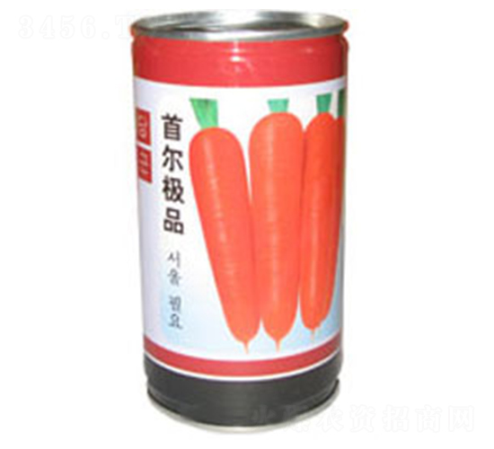 首爾極品-胡蘿卜種子-科立昌