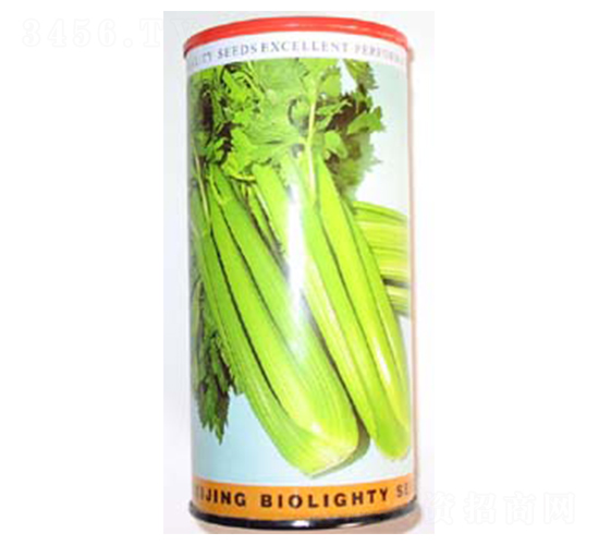 美國文圖拉-芹菜種子-科立昌