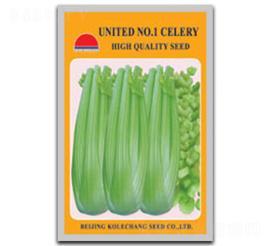 美利堅(jiān)1號(hào)-芹菜種子-科立昌