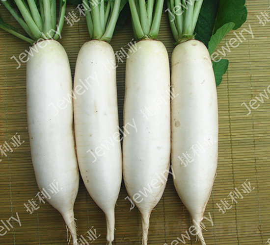 CR捷如玉-蘿卜種子-捷利亞