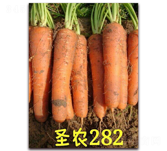 ʥ�r(n��ng)���}��282-���}���N��-ʥ�r(n��ng)�߿�