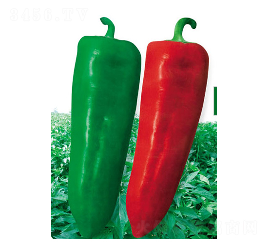 ��t��-�����N��-ʒ�·N�I(y��)