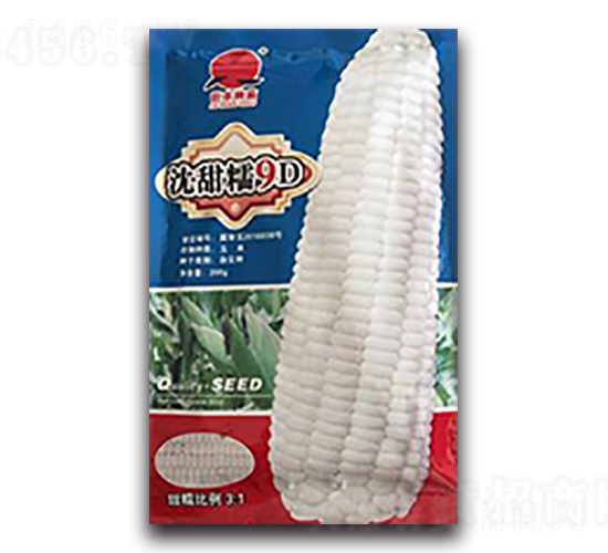 沈甜糯9D-糯玉米種子-天瑞種子