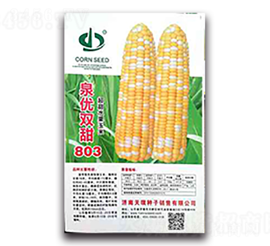 泉優(yōu)雙甜803-糯玉米種子-天瑞種子