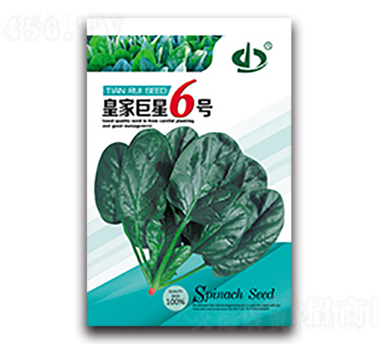 �ʼҾ���6̖(h��o)-���˷N��-����N��