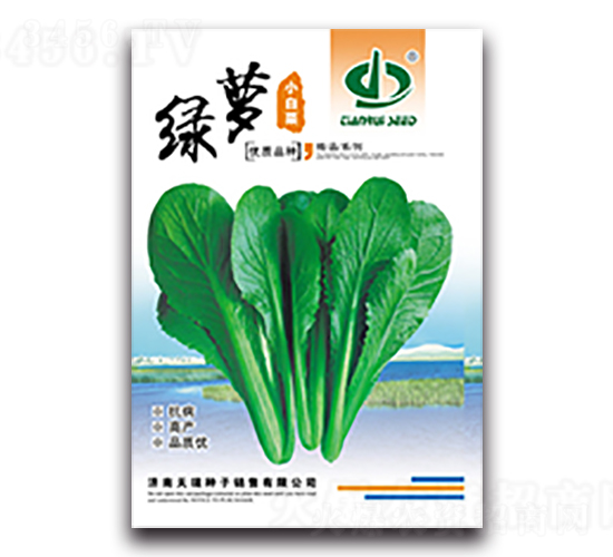 �G�}-�ײ˷N��-����N��