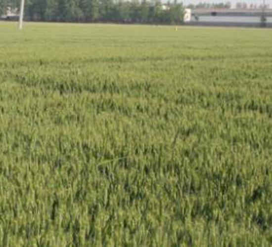 �r(n��ng)��1̖(h��o)-С���N��-���r(n��ng)���S