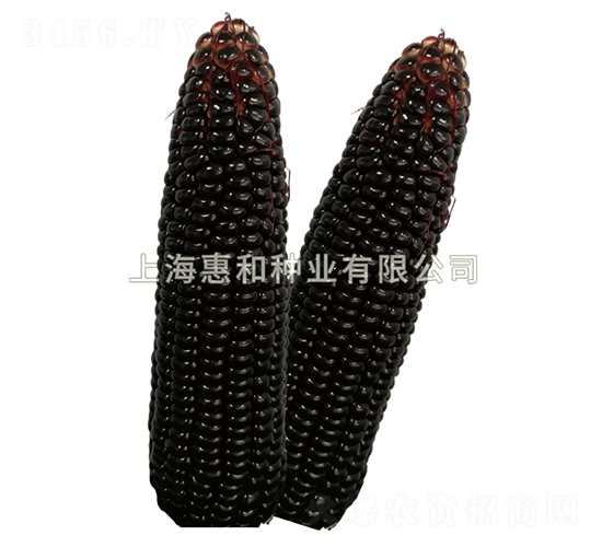 ������-���׷N��-�ݺͷN�I(y��)