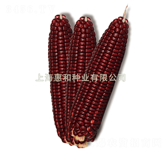 ���tŴ1̖(h��o)-Ŵ���׷N��-�ݺͷN�I(y��)