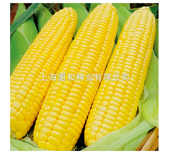 ������̖(h��o)-���׷N��-�ݺͷN�I(y��)