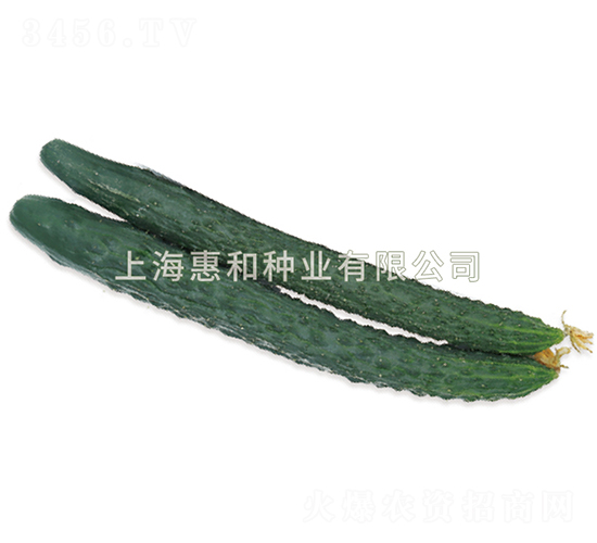 ���S��̖-�S�ϷN��-�ݺͷN�I(y��)