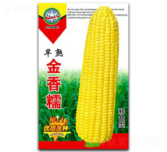 早熟金香糯-糯玉米種子-宏特
