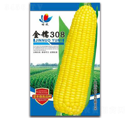 金糯308-糯玉米種子-宏特