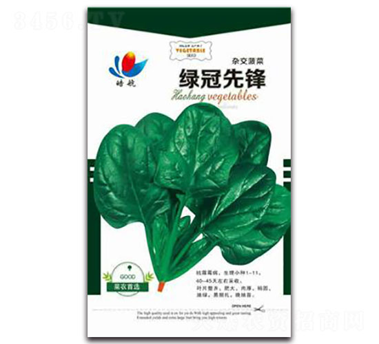 �G�����h-���˷N��-����