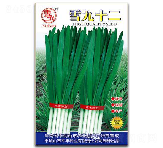 ѩ��ʮ��-�²˷N��-ƽ�S�N�I(y��)