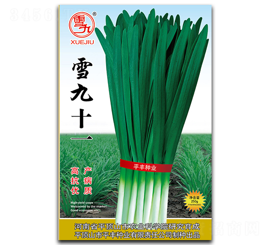 ѩ��ʮһ-�²˷N��-ƽ�S�N�I(y��)