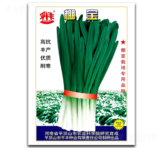 �-�²˷N��-ƽ�S�N�I(y��)