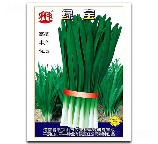 �G��-�²˷N��-ƽ�S�N�I(y��)