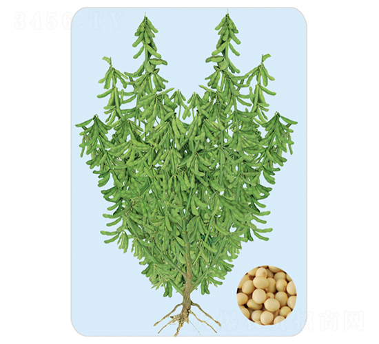 SD-F-�󶹷N��-���S�N�I(y��)