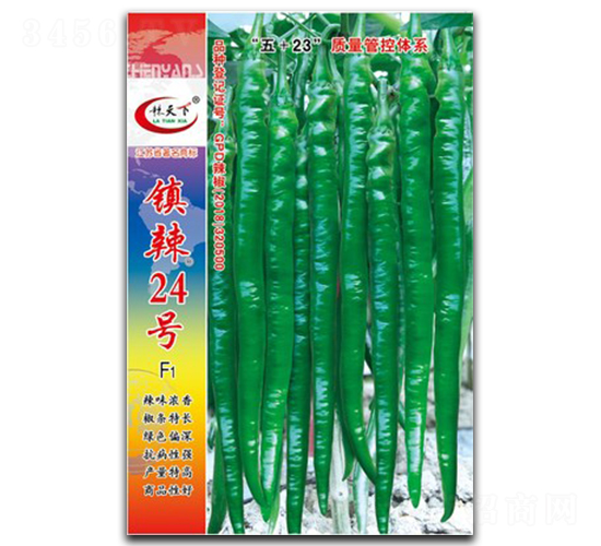 �(zh��n)��24̖-�����N��-�(zh��n)�зN�I(y��)