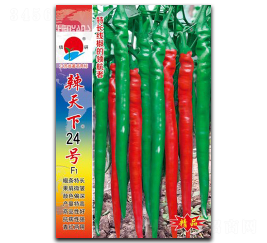 ������24̖-�����N��-�(zh��n)�зN�I(y��)