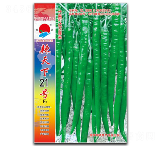 辣天下21號-線椒種子-鎮(zhèn)研種業(yè)