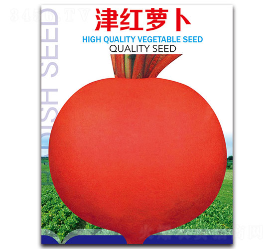 ��t�}��-�}���N��-�ȃ�(y��u)�_(d��)