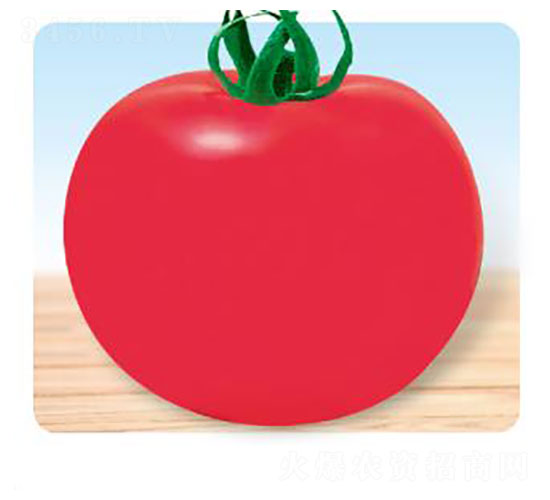 �䌚-���ѷN��-�ȃ�(y��u)�_